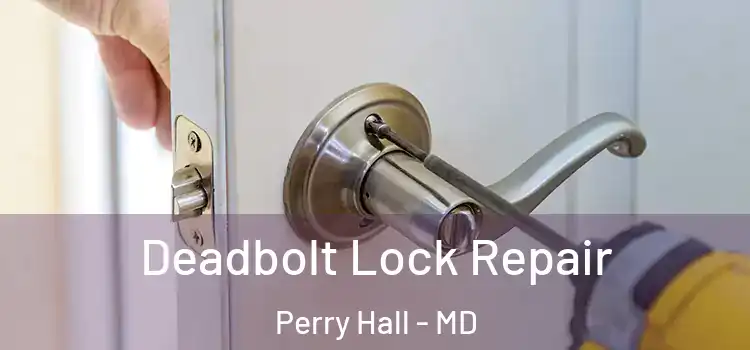 Deadbolt Lock Repair Perry Hall - MD