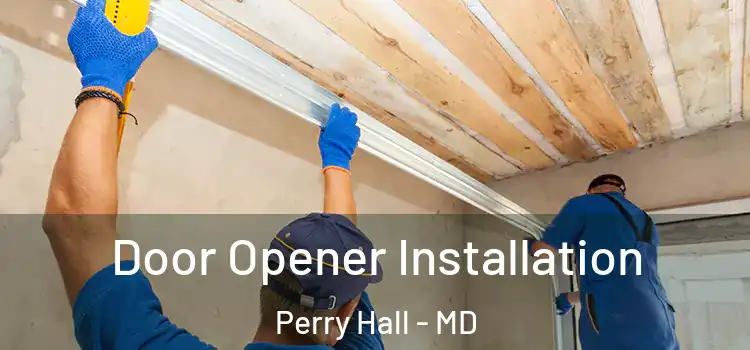  Door Opener Installation Perry Hall - MD