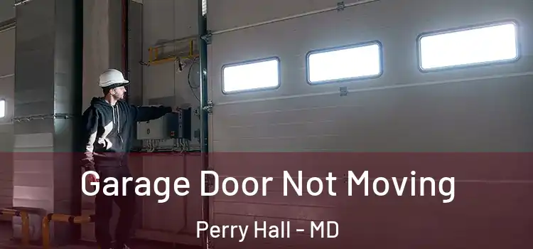  Garage Door Not Moving Perry Hall - MD